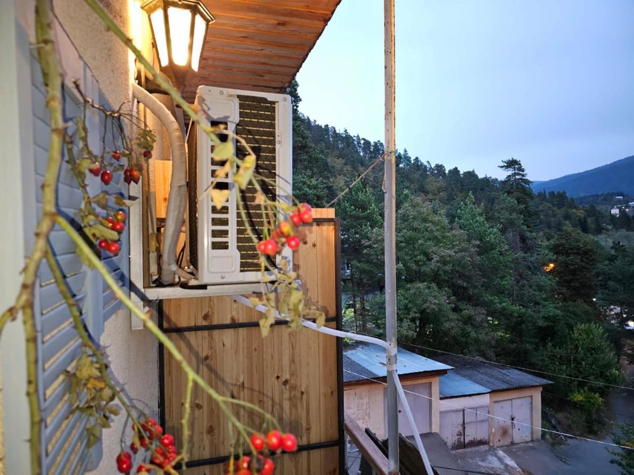 Guest House Likani 2017 Borjomi Habitación foto