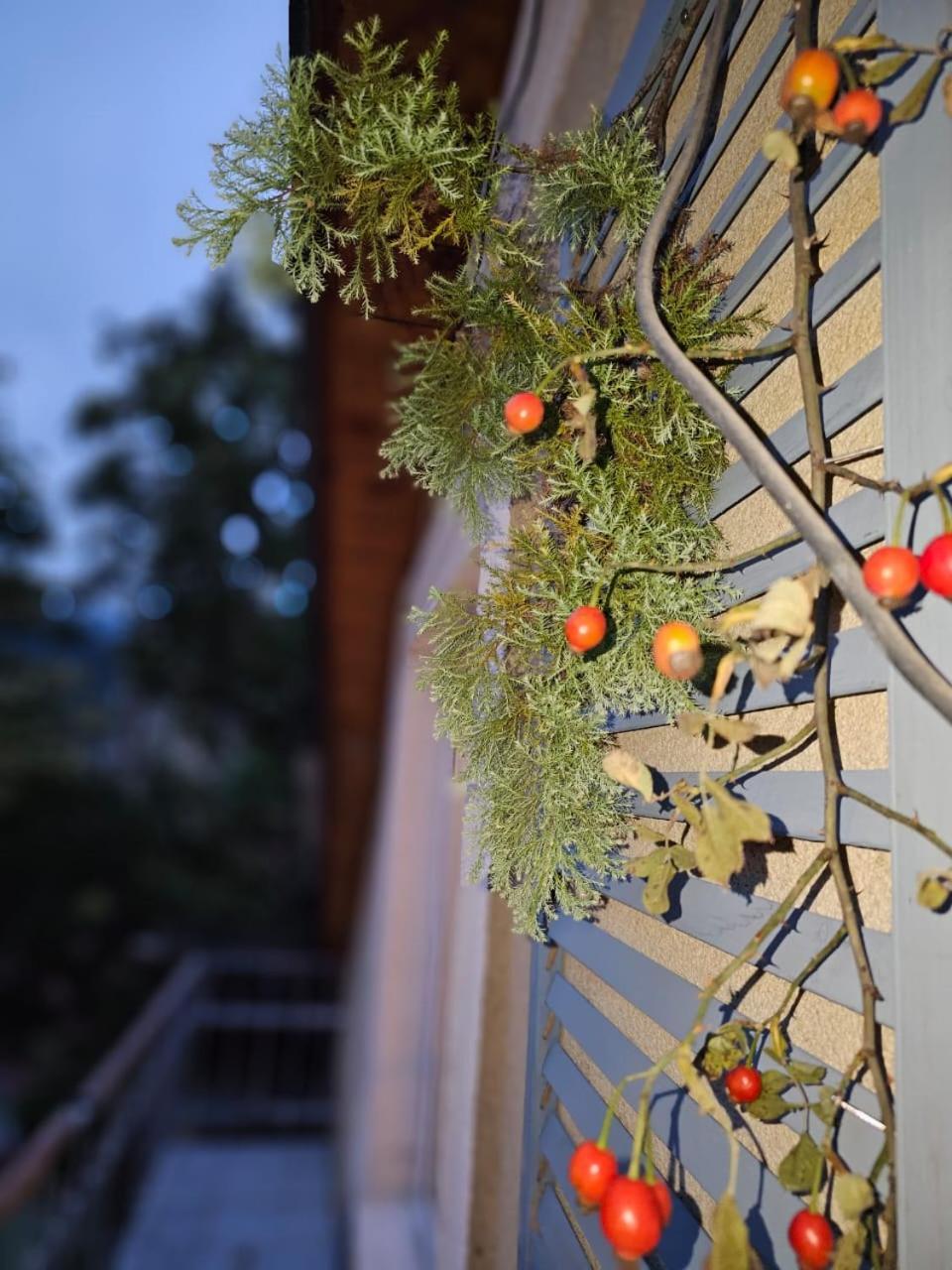 Guest House Likani 2017 Borjomi Habitación foto